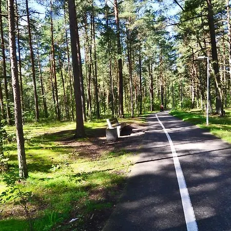Ingas Near Forest And Sea *