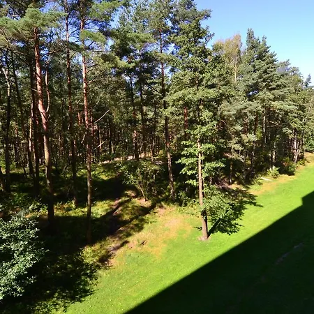 Ingas Near Forest And Sea Апартаменты Клайпеда