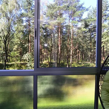 Ingas Near Forest And Sea Апартаменты *