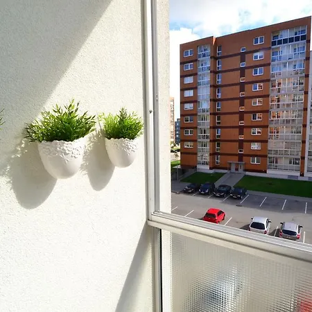 Ingas Near Forest And Sea Апартаменты